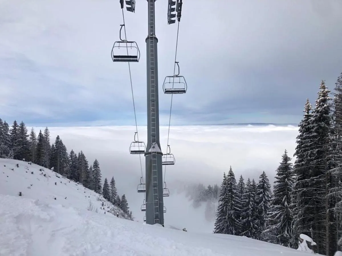 Appartement Cosy A Bernex, Proche Des Pistes Et Sentiers, Avec Terrasse Ensoleillee Et Wifi. - Fr-1-498-22 Frankrike
